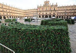 Las piezas del árbol, en la Plaza Mayor.