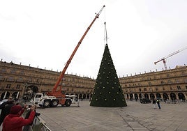 Instalación del árbol de Navidad en la Plaza Mayor
