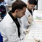 La USAL advierte sobre la expansión de una enfermedad que afecta a varios animales domésticos