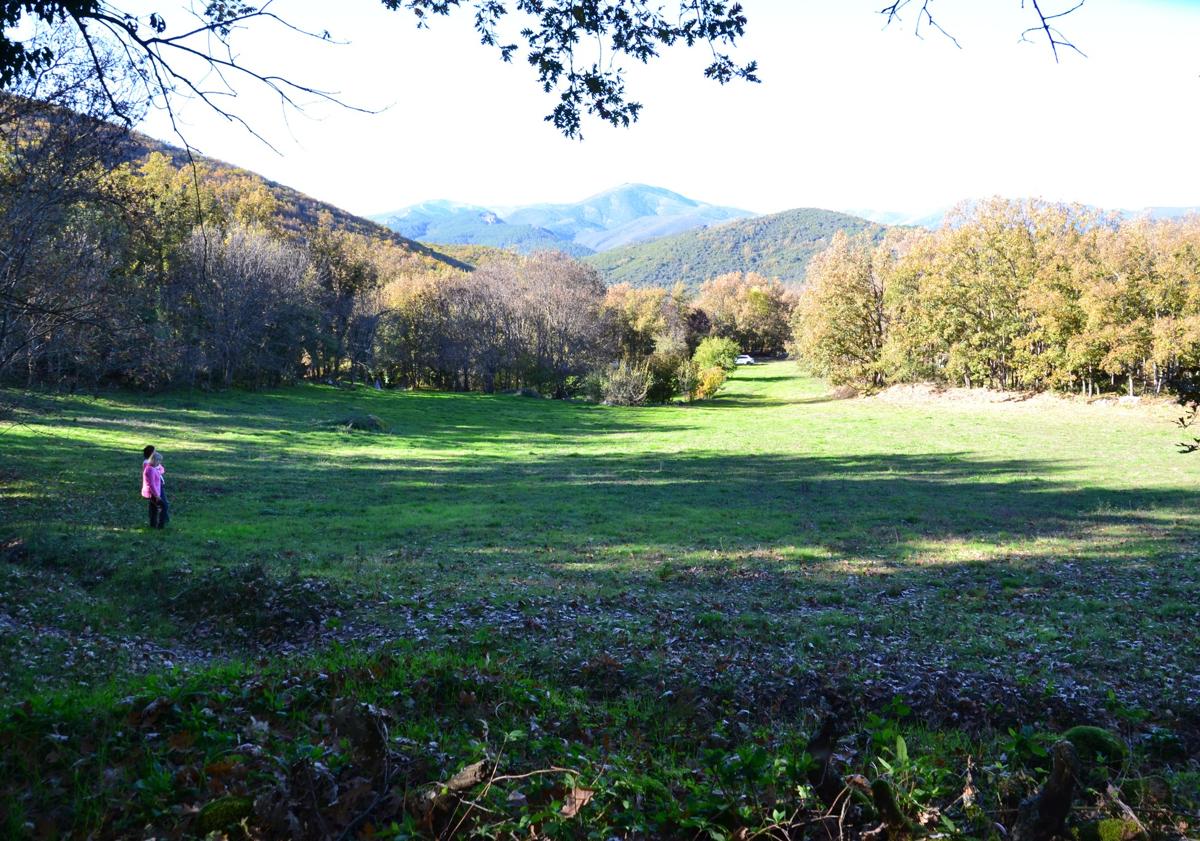 Imagen principal - La finca idílica en un pueblo de Salamanca que se vende con manantial propio