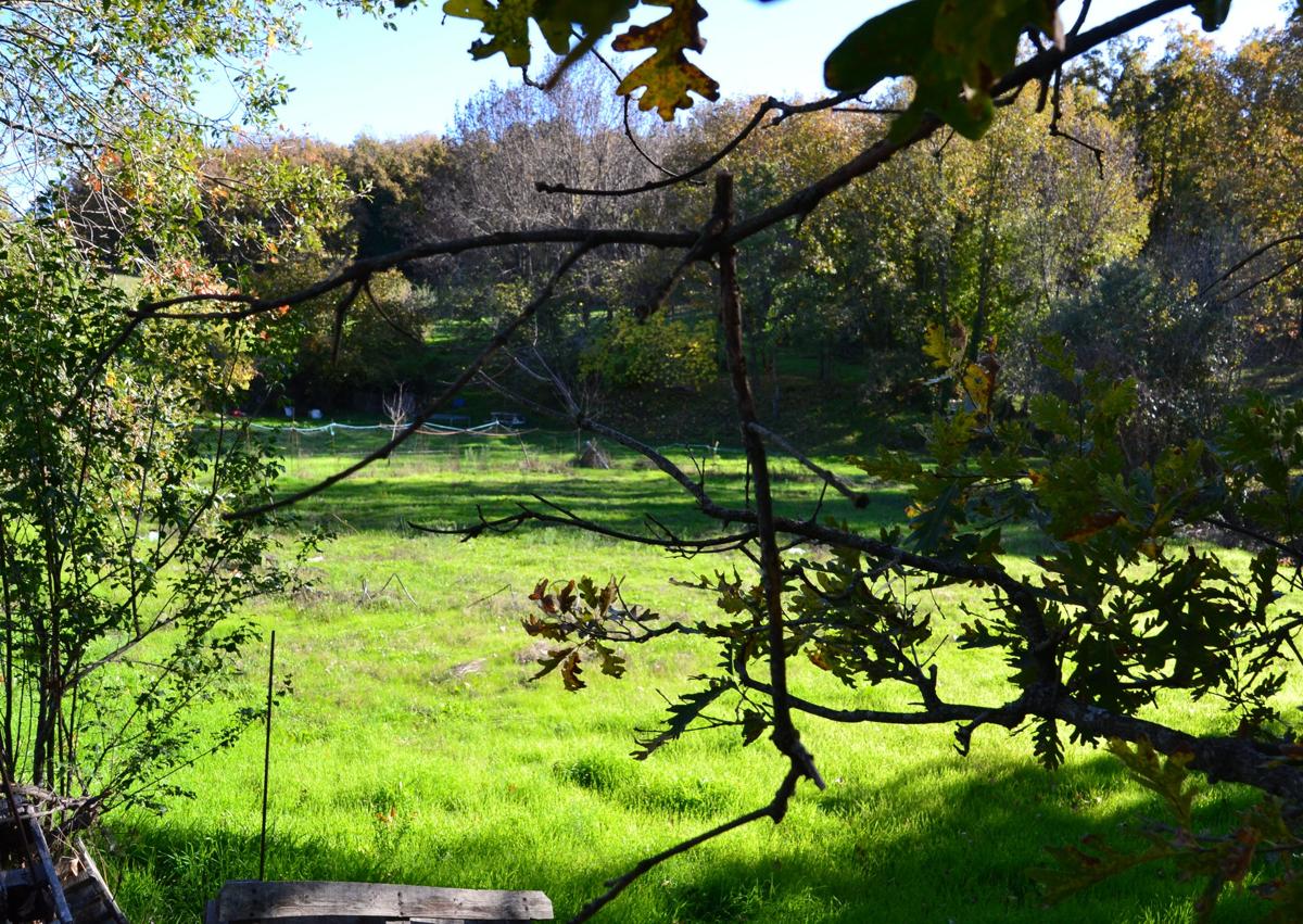 Imagen secundaria 1 - La finca idílica en un pueblo de Salamanca que se vende con manantial propio