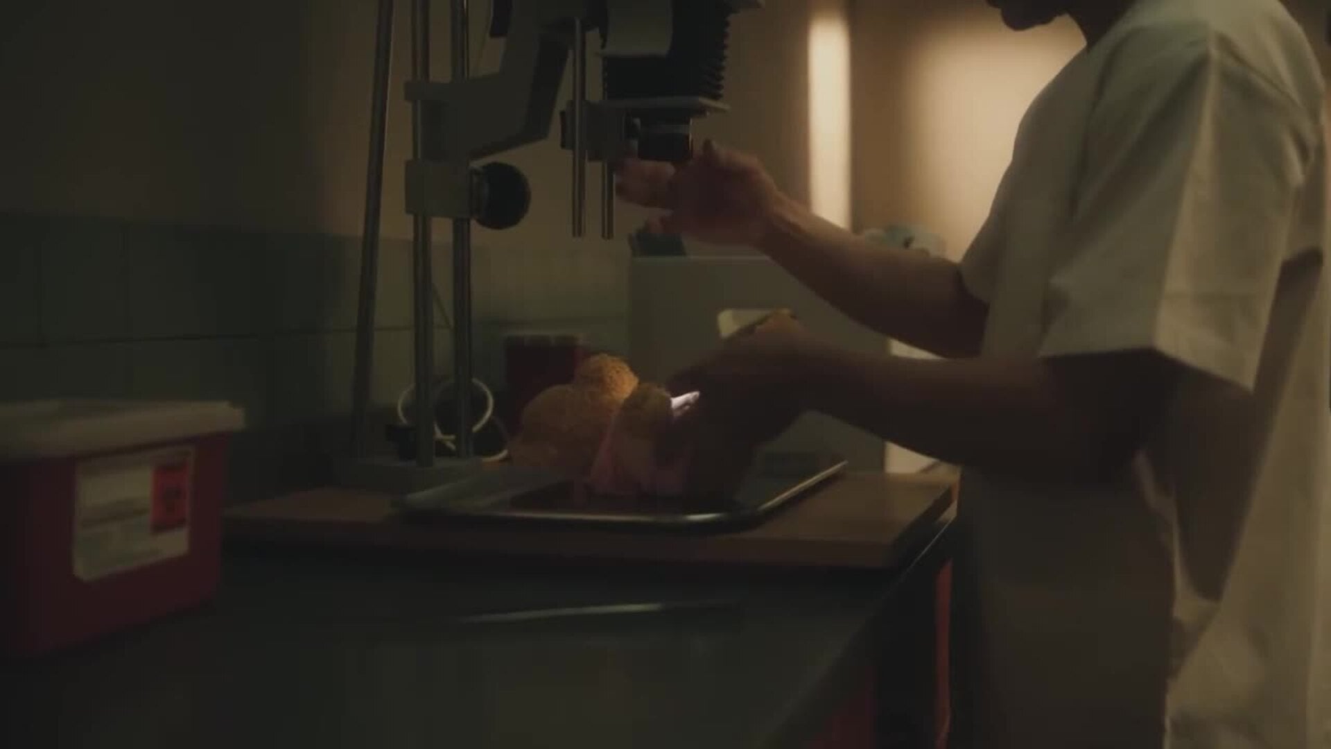 Lola Índigo estrena tema junto a Manuel Turizo en un viernes cargado de nueva música