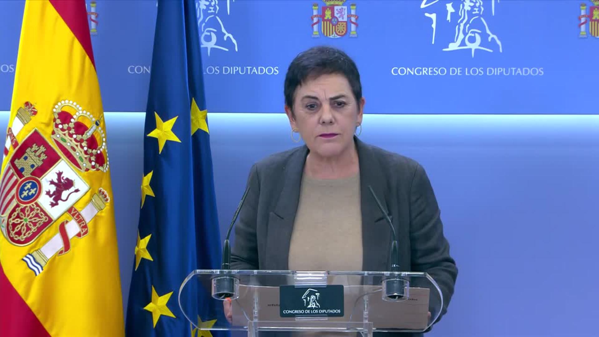 EH Bildu pide evitar "linchamiento" a las víctimas de agresión sexual