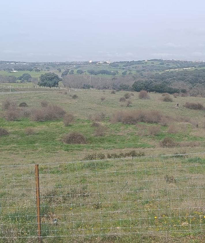 Imagen secundaria 2 - La finca inmensa en un pueblo de Salamanca en venta con arroyo propio y PAC