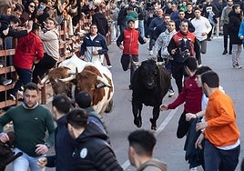 El Toro de San Sebastián sirve de aperitivo para el Carnaval en Ciudad Rodrigo