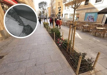 Aumentan los actos vandálicos contra árboles y jardines y se pone de moda tirar 'de todo' a la calle