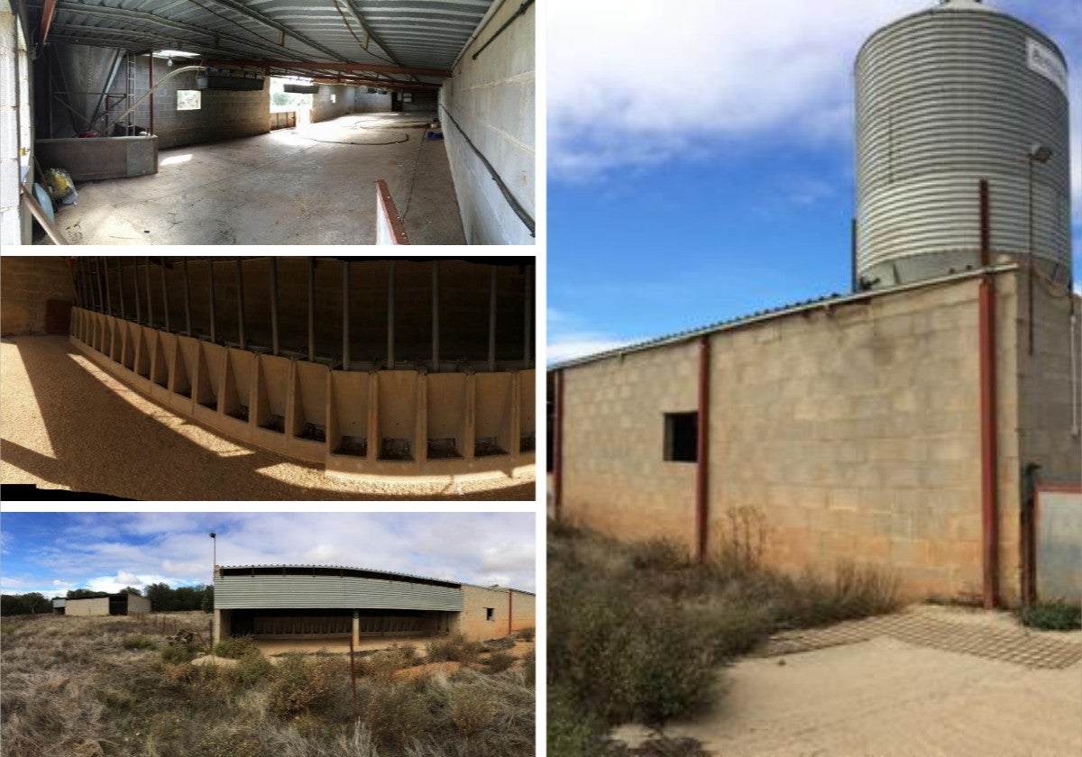 La finca con miles de metros de encinas en un pueblo de Salamanca para criar 300 cerdos
