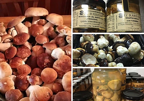 Materia prima y productos elaborados por la conservera.