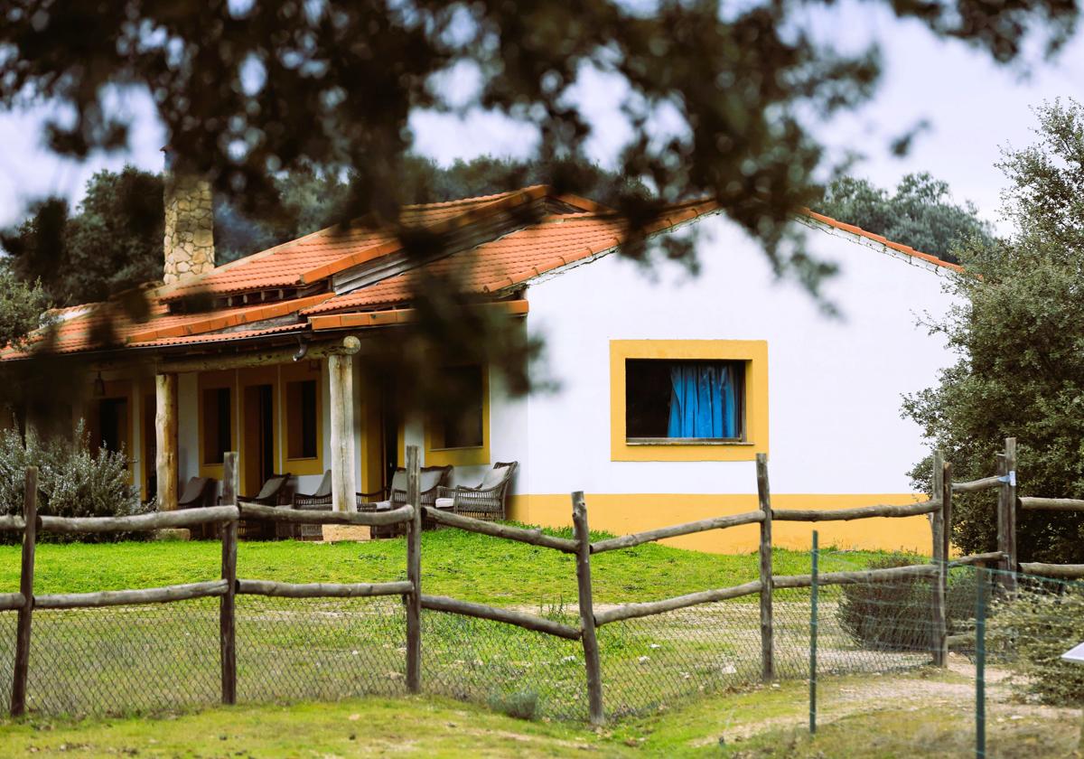 Imagen de Galeria 