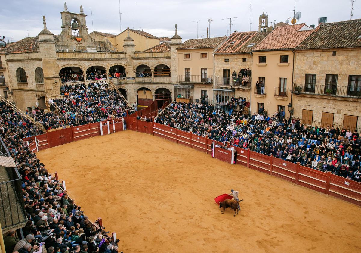 PRIMER TENTADERO «CARNAVAL DEL TORO», a cargo de alumnos de la Escuela de Aficionados Prácticos de Ciudad Rodrigo, con reses de la ganadería de Carreros.