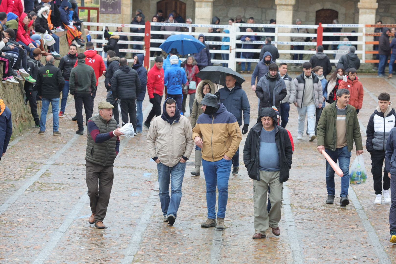 Un encierro pasado por agua en el Carnaval del Toro de Ciudad Rodrigo