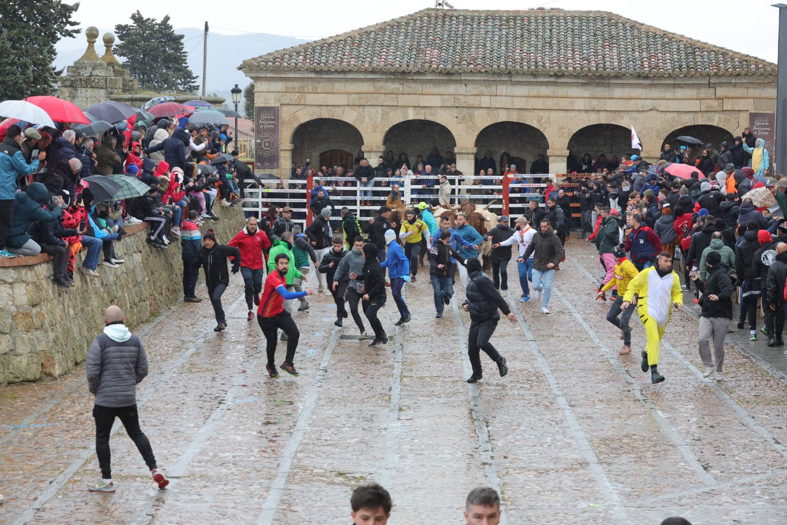 Un encierro pasado por agua en el Carnaval del Toro de Ciudad Rodrigo