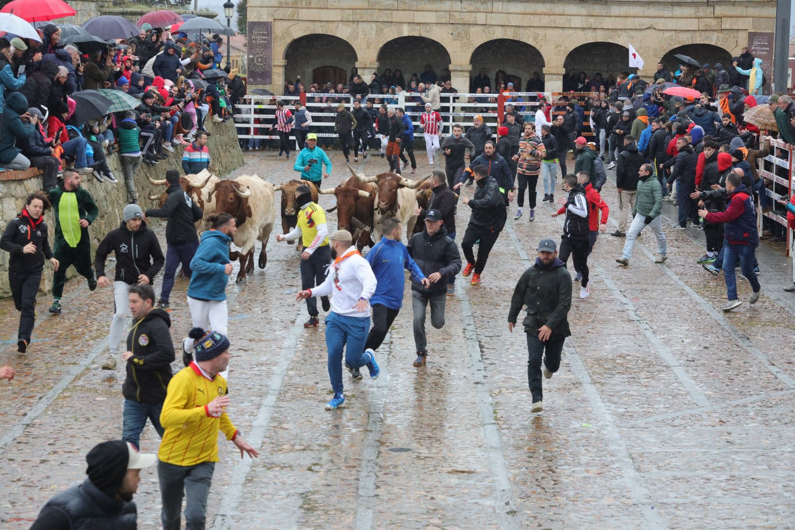Un encierro pasado por agua en el Carnaval del Toro de Ciudad Rodrigo