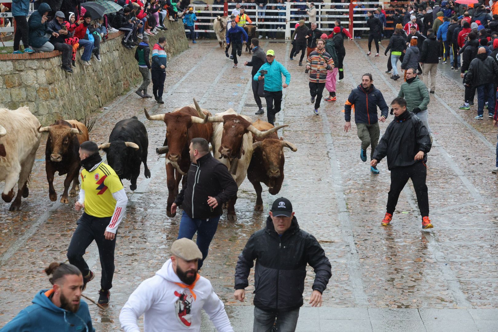 Un encierro pasado por agua en el Carnaval del Toro de Ciudad Rodrigo