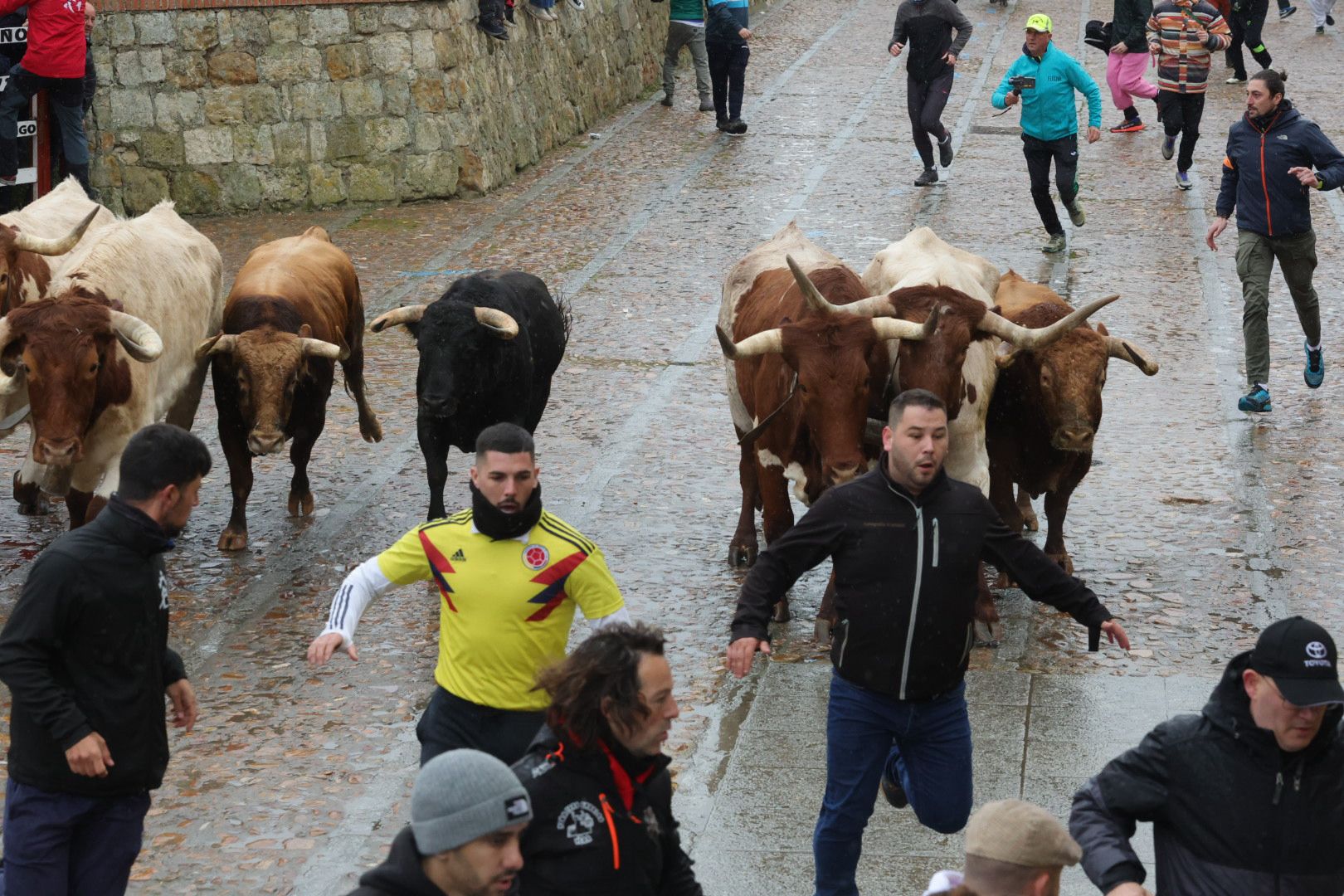 Un encierro pasado por agua en el Carnaval del Toro de Ciudad Rodrigo