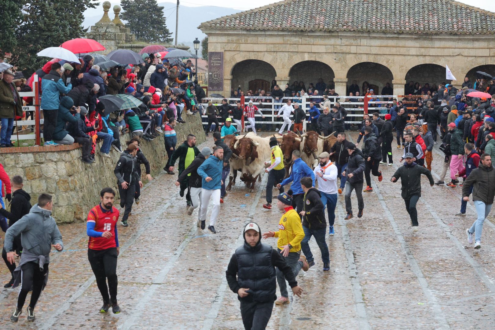 Un encierro pasado por agua en el Carnaval del Toro de Ciudad Rodrigo