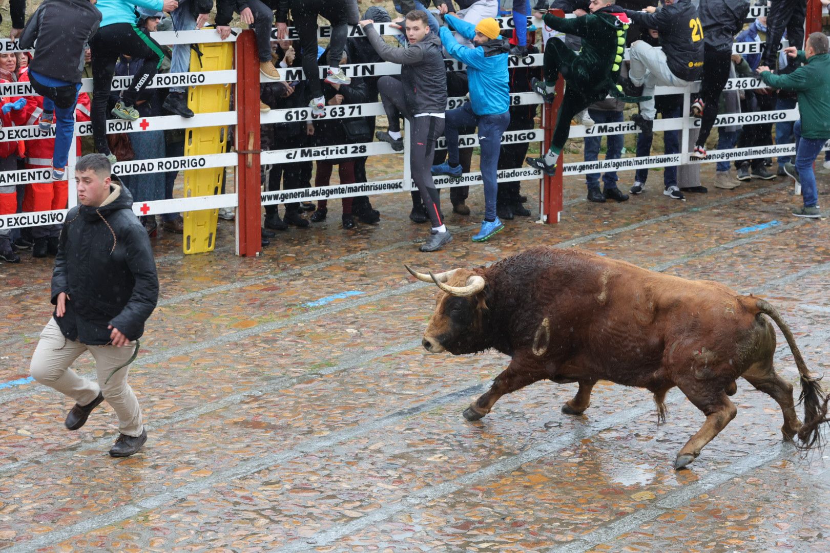 Un encierro pasado por agua en el Carnaval del Toro de Ciudad Rodrigo