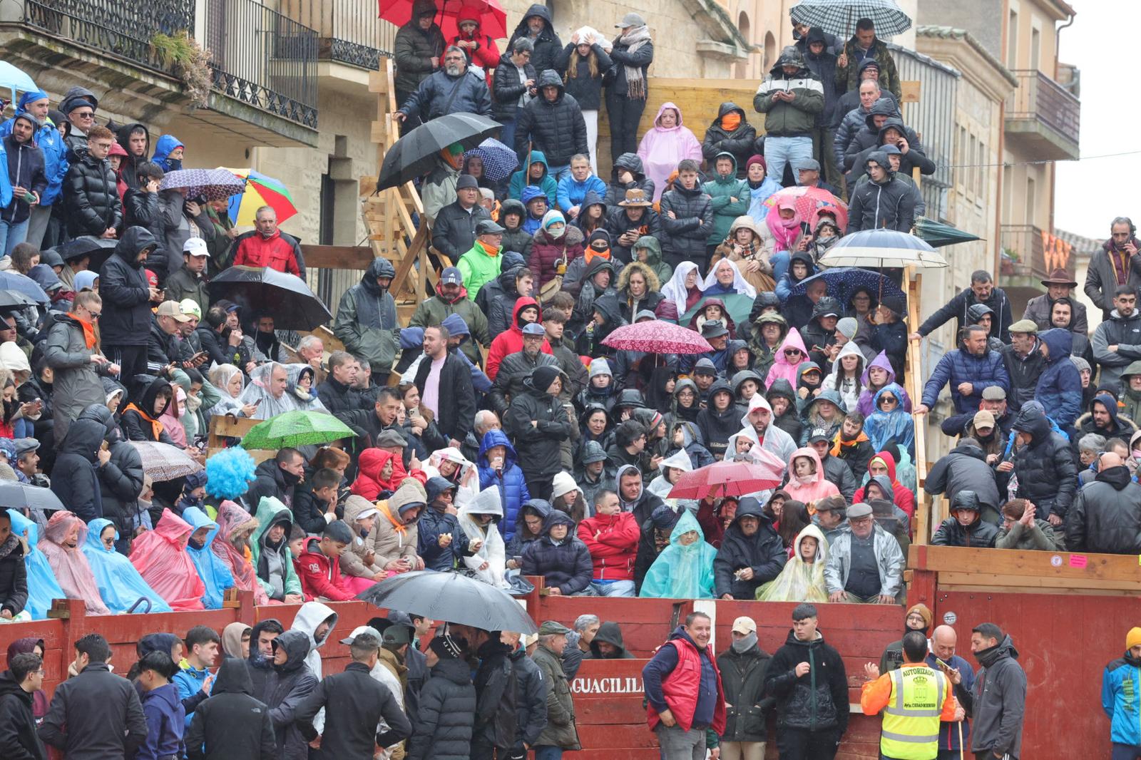 Un encierro pasado por agua en el Carnaval del Toro de Ciudad Rodrigo