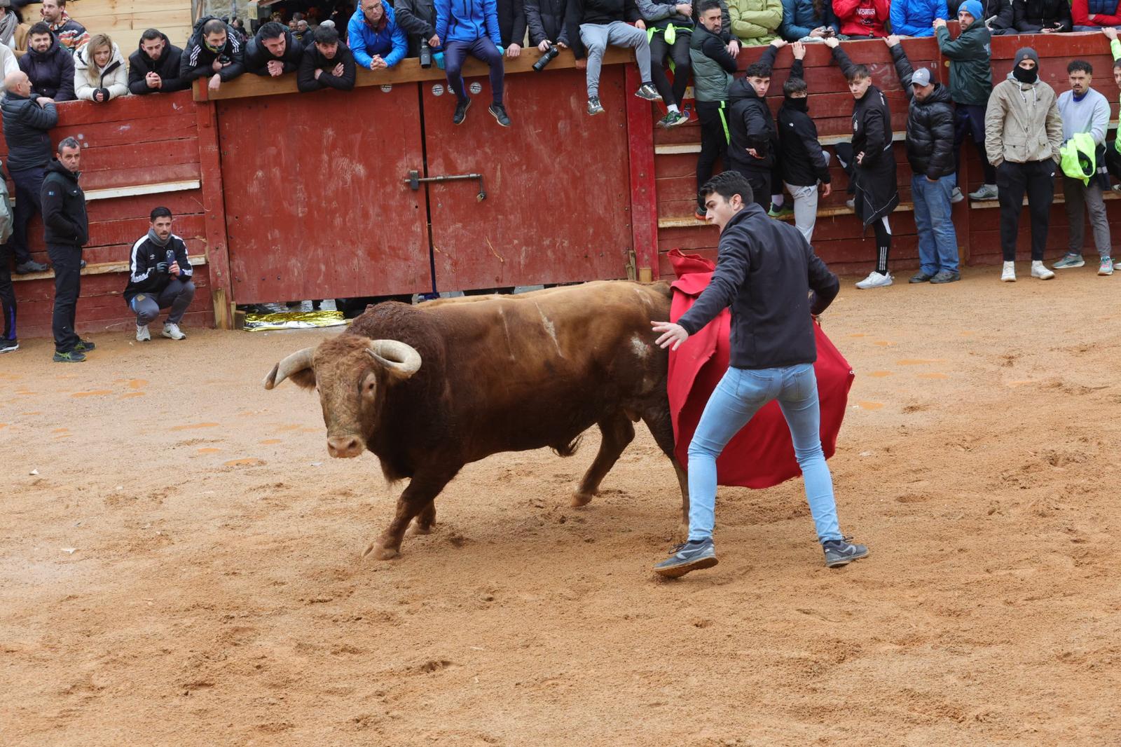 Un encierro pasado por agua en el Carnaval del Toro de Ciudad Rodrigo