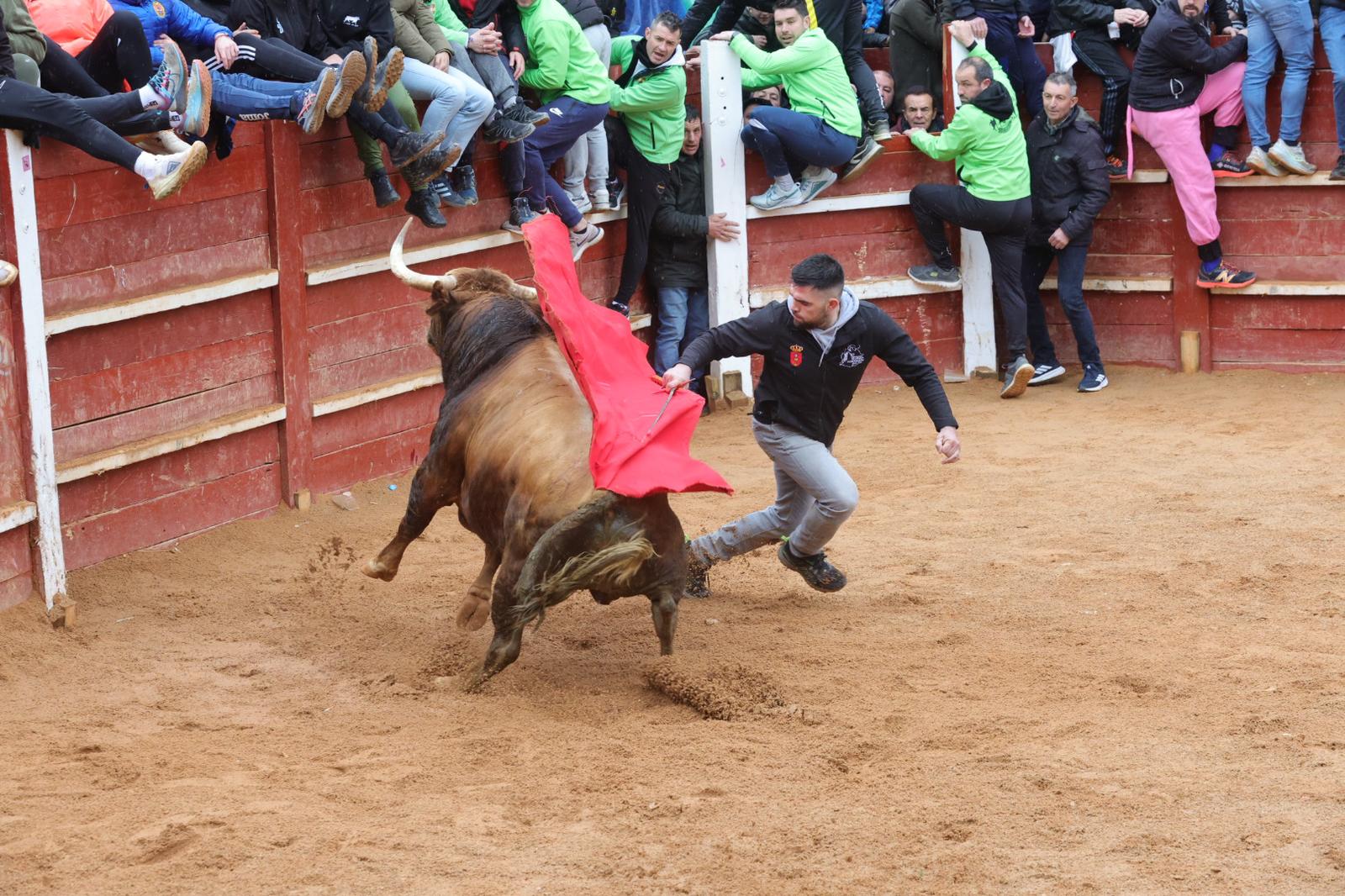 Un encierro pasado por agua en el Carnaval del Toro de Ciudad Rodrigo