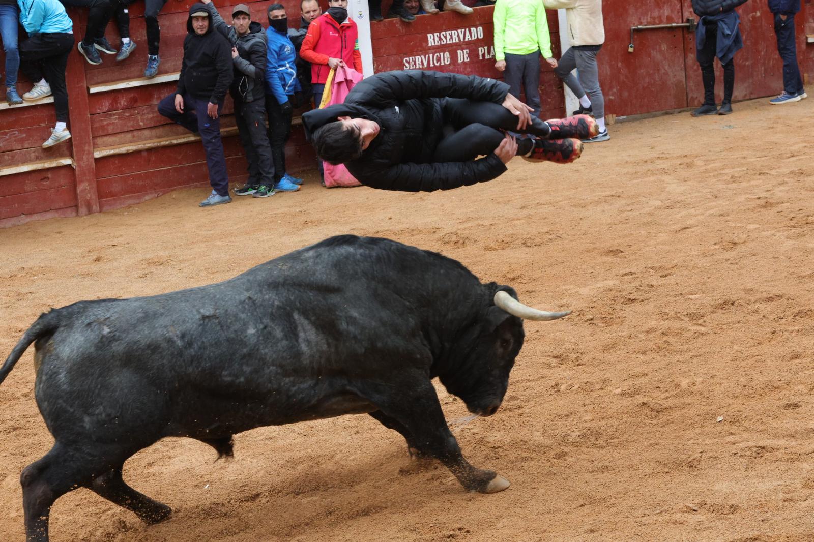 Un encierro pasado por agua en el Carnaval del Toro de Ciudad Rodrigo