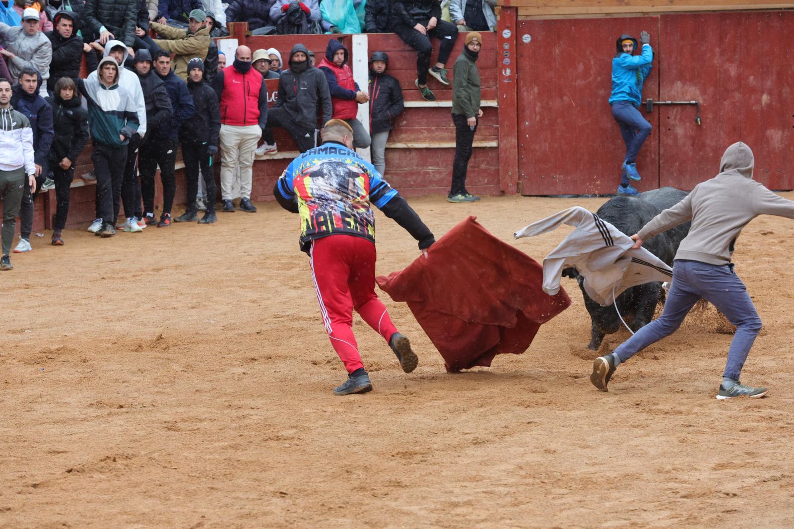 Un encierro pasado por agua en el Carnaval del Toro de Ciudad Rodrigo