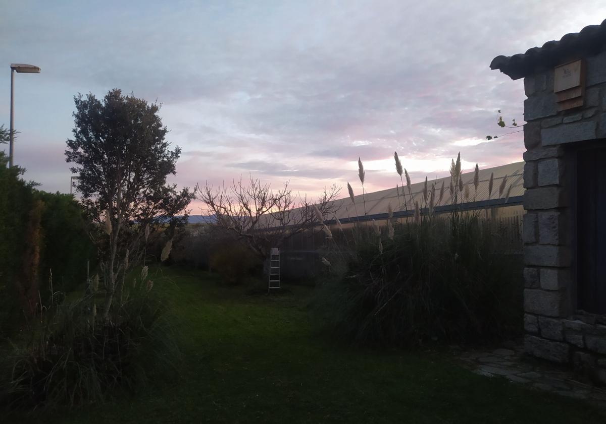 Imagen principal - El negocio en venta en un pueblo de Salamanca para criar un pescado de reyes