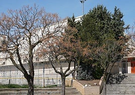 Instalaciones municipales Rosa Colorado.