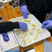 Taller sobre el cerebro