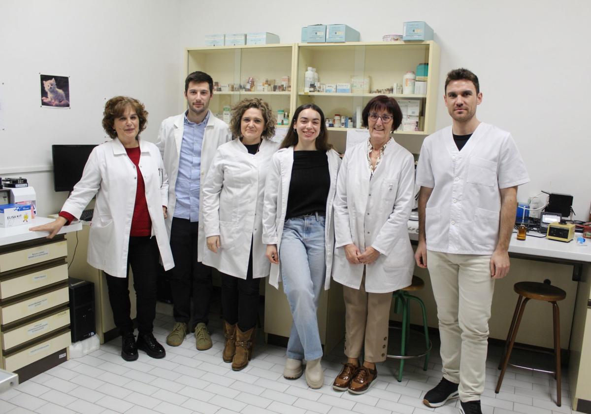 Un estudio del IBSAL y la USAL abre vías para mejorar el tratamiento de la enfermedad cardiovascular en mujeres