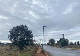 Farolas en una calle de Carrascal de Barregas