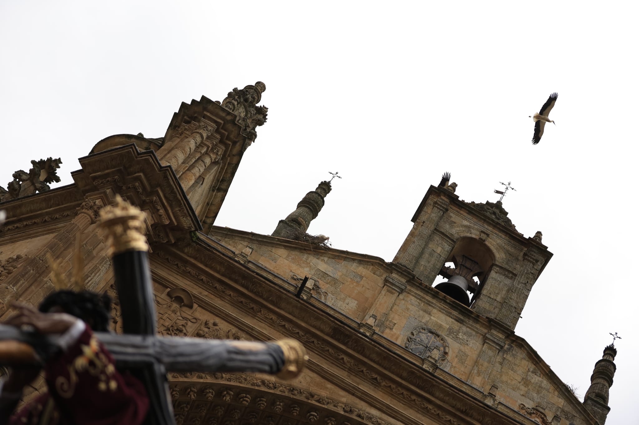 La Hermandad Dominicana recorre Salamanca bajo una madrugada serena