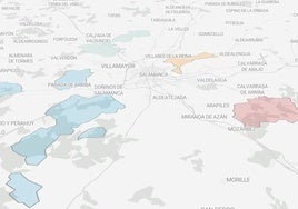 Las mayores urbanizaciones en pueblos de Salamanca que ya son todo chalets