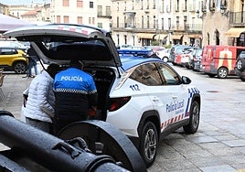 Roban en varios inmuebles de Ciudad Rodrigo y agreden a los agentes al ser detenidos