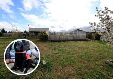 Un centro de la provincia forma a los únicos perros capaces de alertar diabetes o un ataque de epilepsia