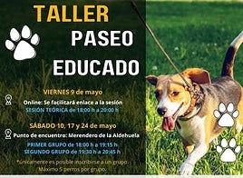 El nuevo taller en Salamanca sobre educación canina con paseos en grupos sociales