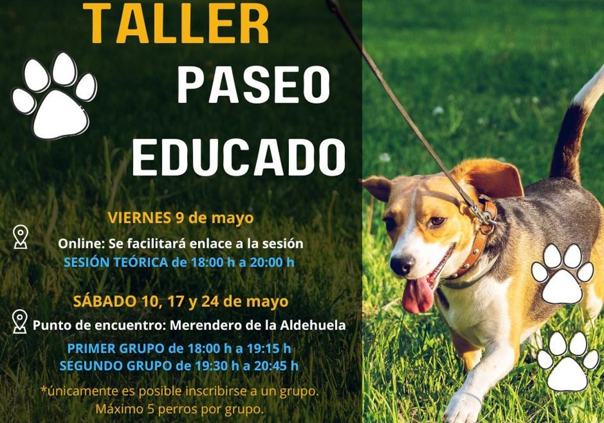 El nuevo taller en Salamanca sobre educación canina con paseos en grupos sociales