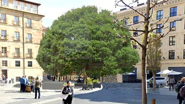 Imagen después - La Salamanca verde que crece entre un bosque a una hora y arbolitos de ciudad