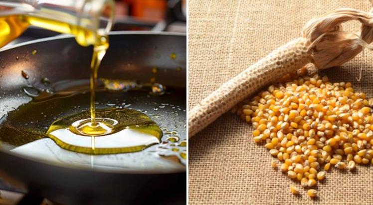 El GIR de la USAL promueve el aprovechamiento de aceites domésticos y residuos agroindustriales para desarrollos biotecnológicos.