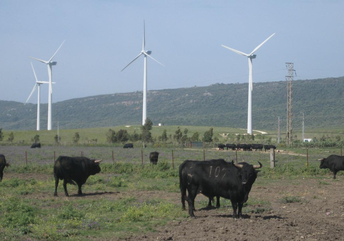Autorización administrativa para un nuevo parque eólico entre cuatro pueblos de Salamanca