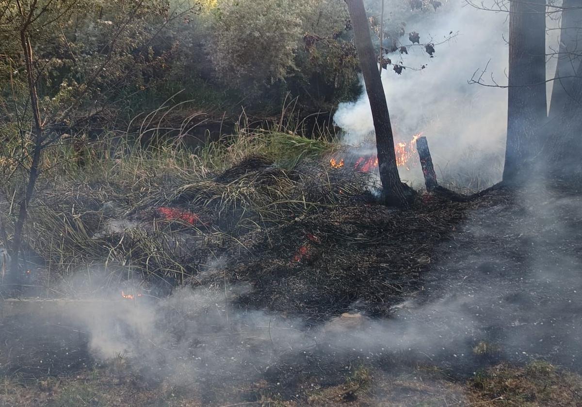 Llamas en La Aldehuela: incendio en el río en Salamanca al arder el manto de polen