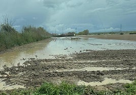 Una explotación inundada por las recientes lluvidas caídas en la provincia salmantina.