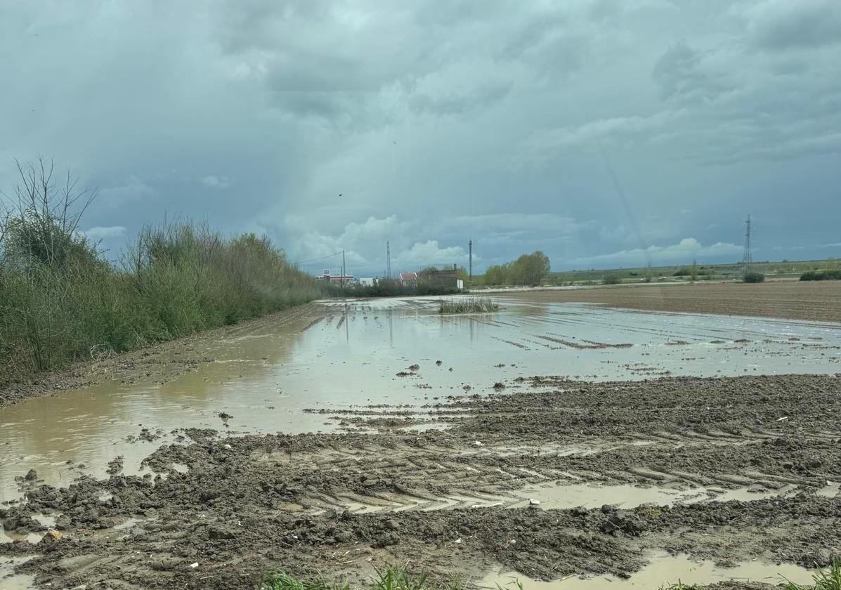 Una explotación inundada por las recientes lluvidas caídas en la provincia salmantina.