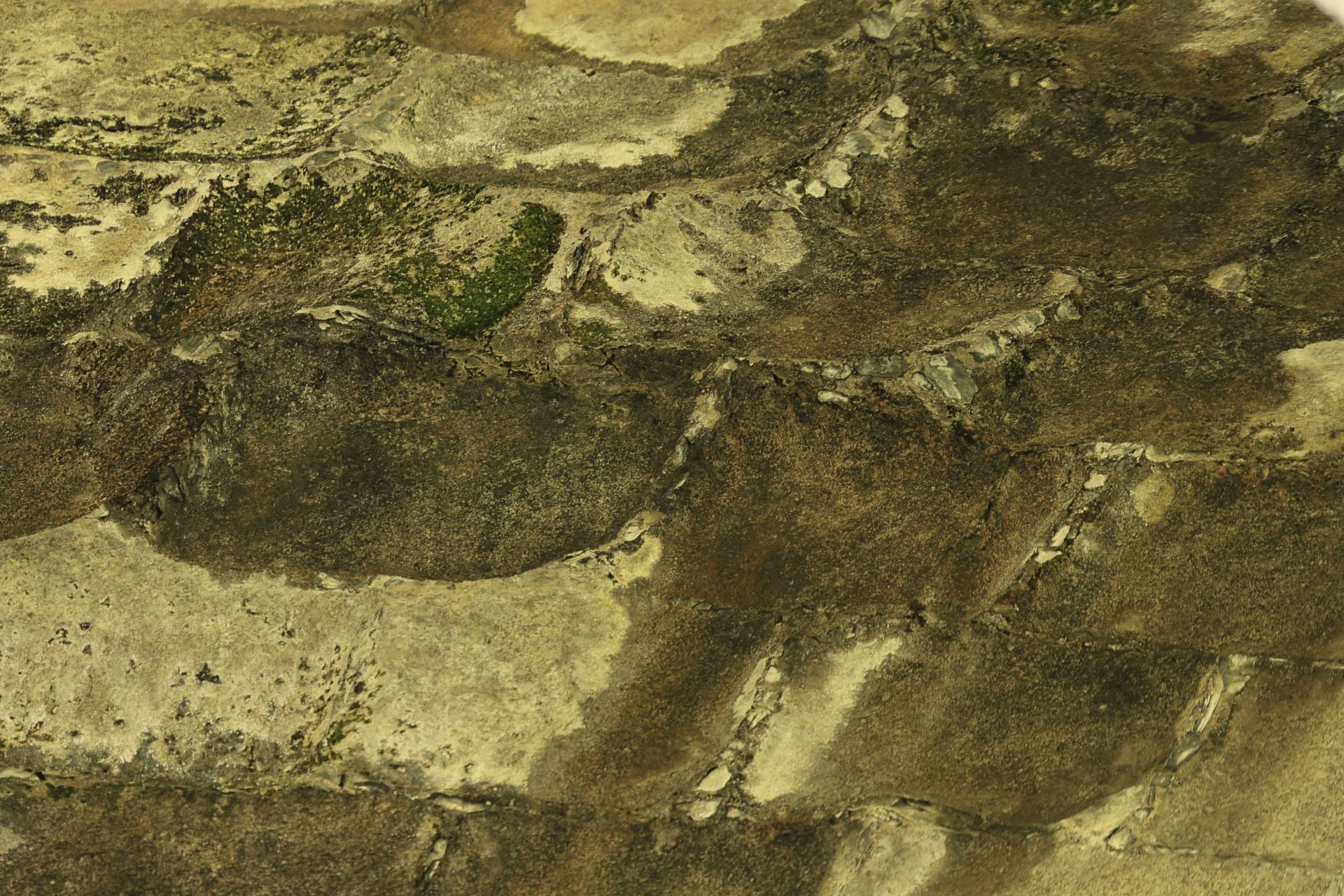 Los daños del Puente Romano de Salamanca que sobrevive a 2.000 años sobre el Tormes