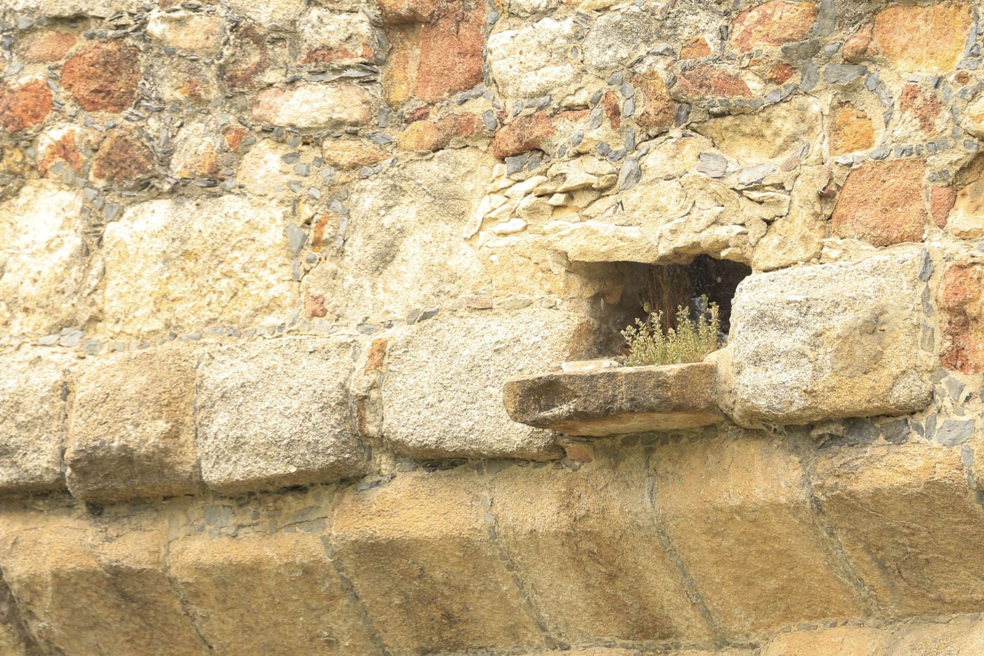 Los daños del Puente Romano de Salamanca que sobrevive a 2.000 años sobre el Tormes
