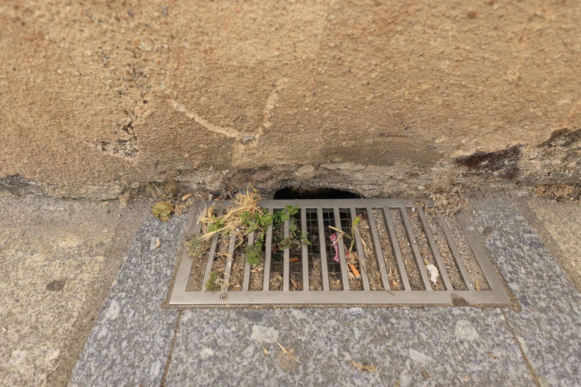 Los daños del Puente Romano de Salamanca que sobrevive a 2.000 años sobre el Tormes