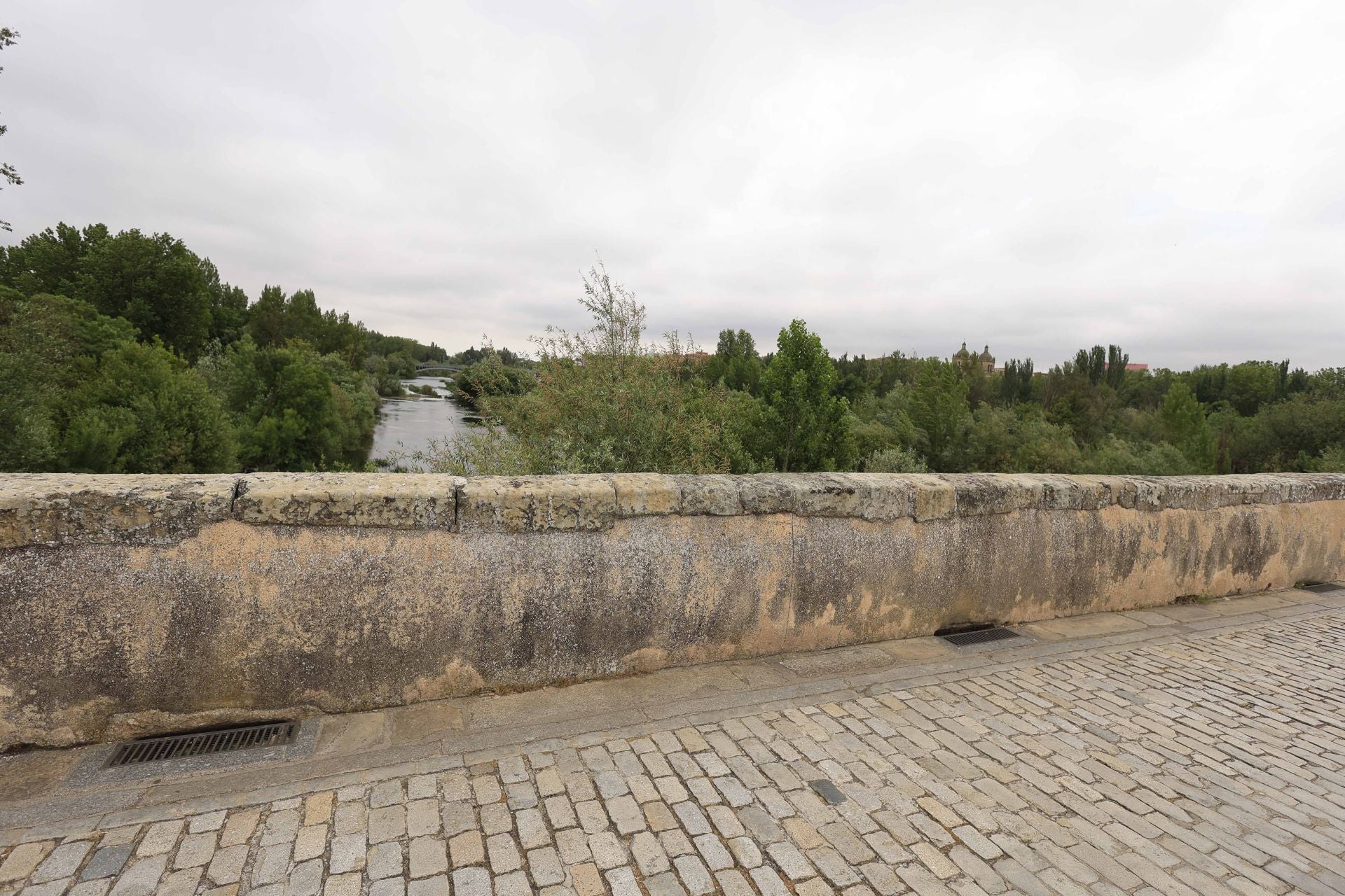 Los daños del Puente Romano de Salamanca que sobrevive a 2.000 años sobre el Tormes