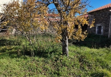 La casa de pueblo en venta en Salamanca que tiene fincas y un especial suelo de cantería