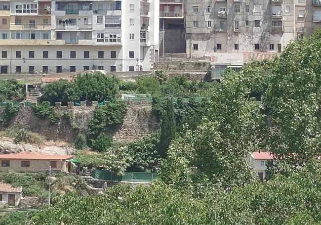 Frondosa vegetación crece en la propia muralla.