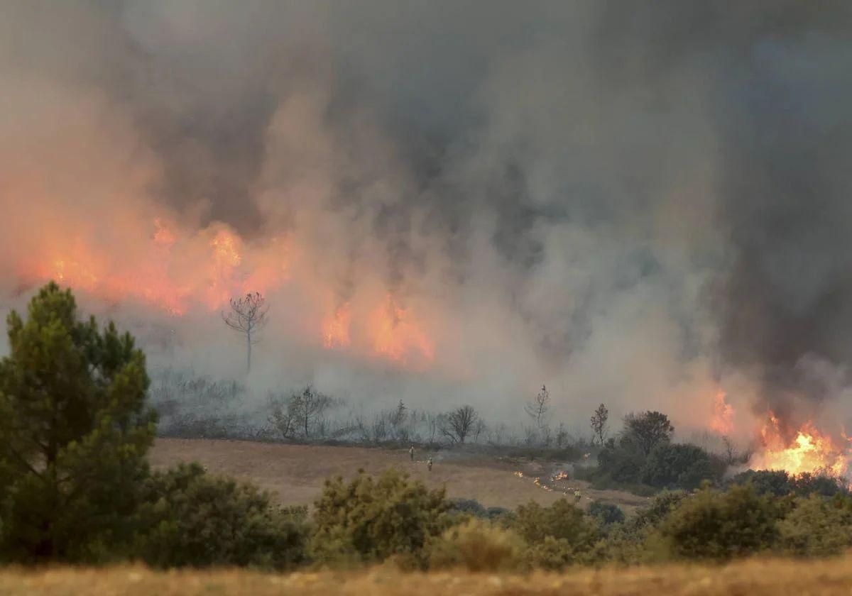 Incendio de Monsagro.